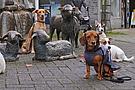 Gruppe von Hunden mit Bronze-Schafen