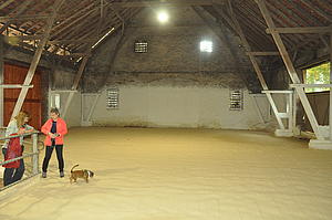 Training in der Halle wetterunabhängiges Training meiner Halle in Detmold