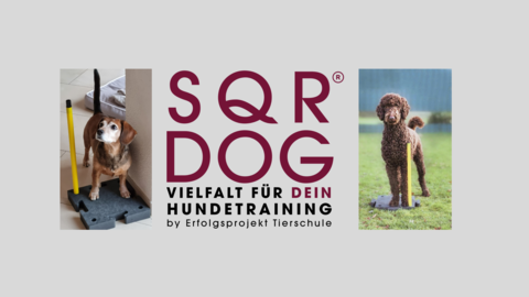 SQR Dog die Vielfalt für Dein Hundetraining