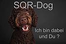 SQR-Dog