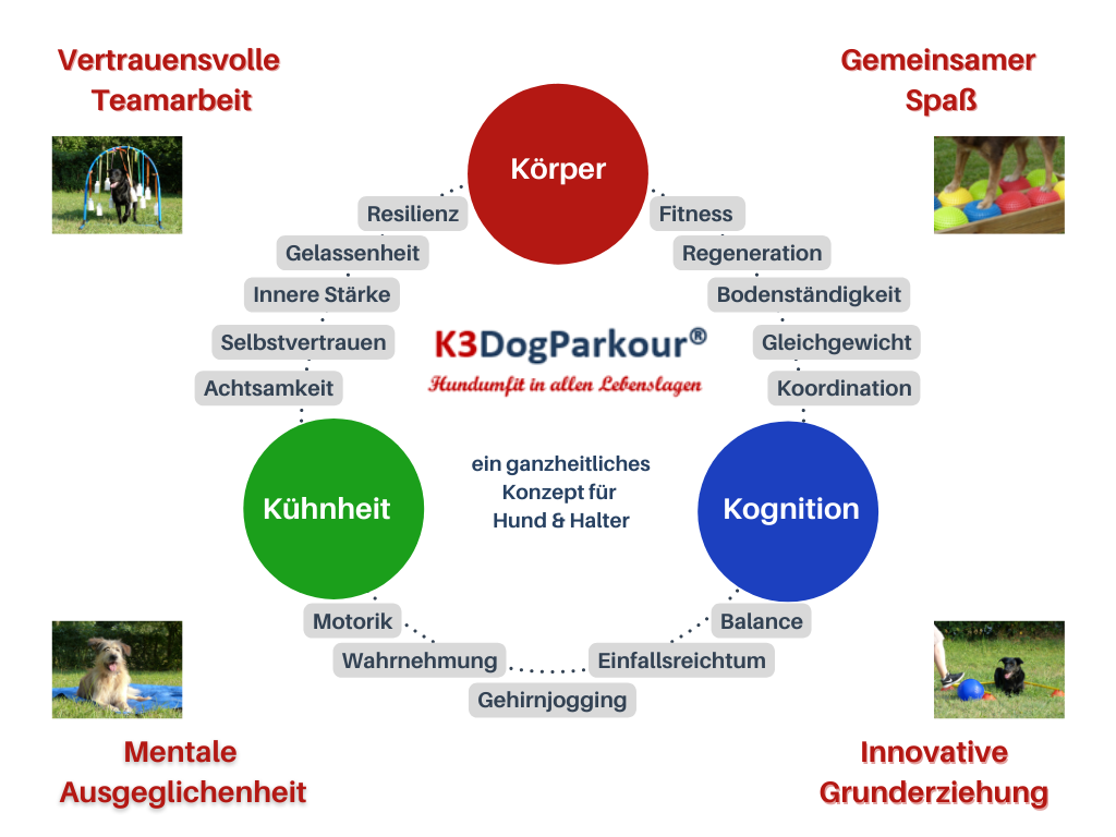 K3Dog Parkour Zusammenfassung K3DogParkour - Vertrauen, Grunderziehung, Auslastung und Spaß