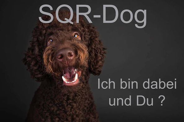 SQR Dog SQR Dog, ich bin dabei und Du?